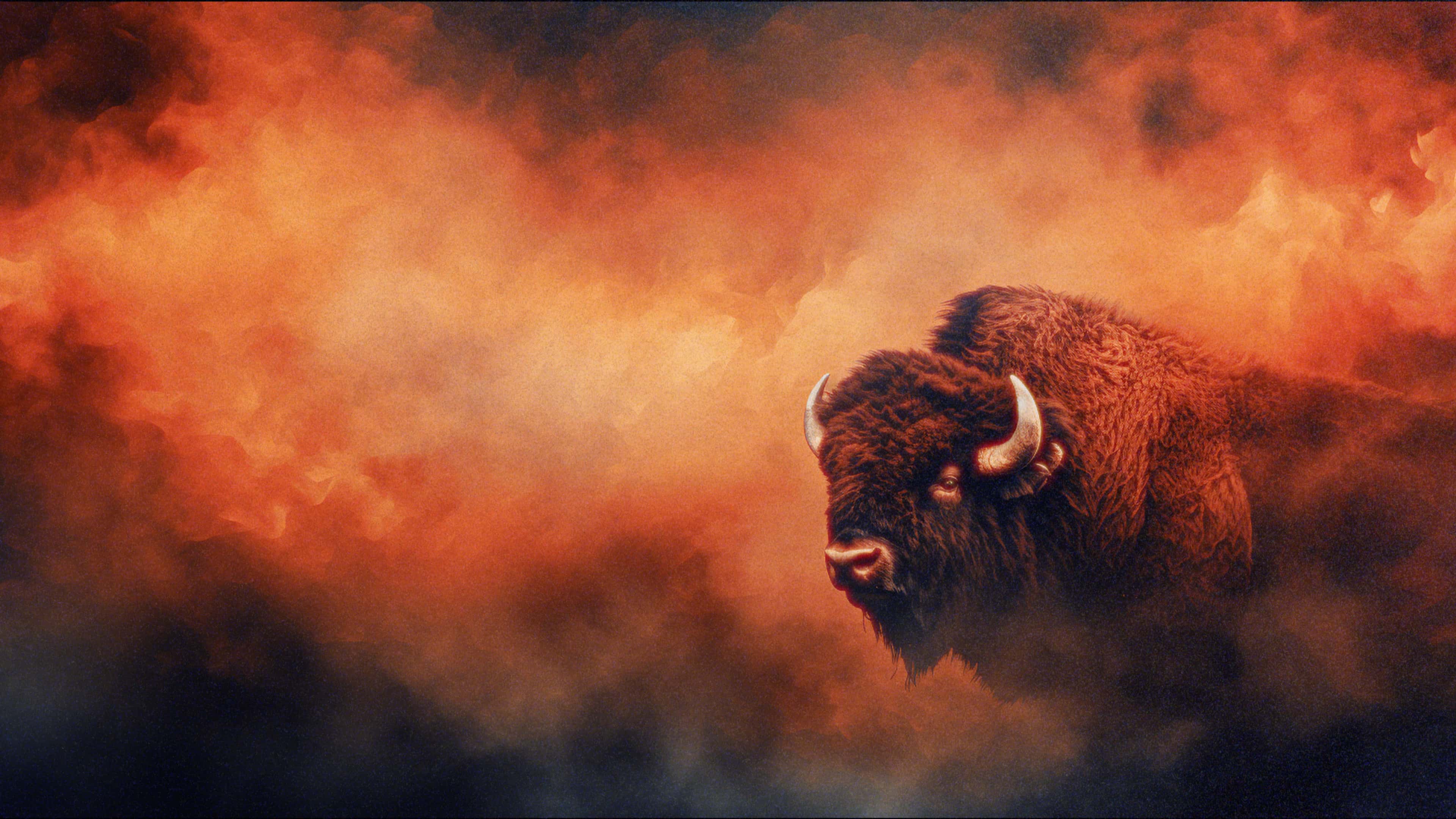 LAND & TERRITORY FILM